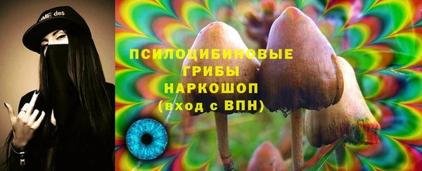 мдпв Верея