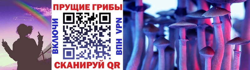 Галлюциногенные грибы ЛСД  продажа наркотиков  Заринск 