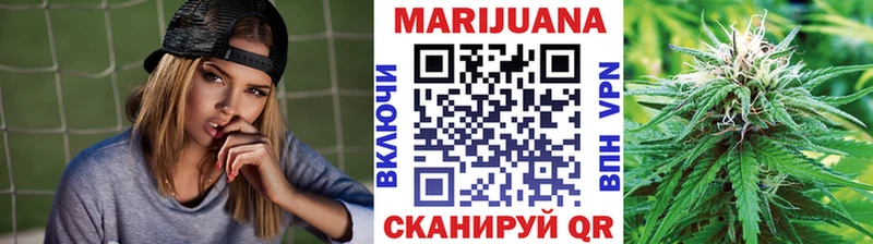 как найти   Заринск  Шишки марихуана Amnesia 